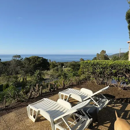 Lovely Place With Free Parking Lejlighed Corbara