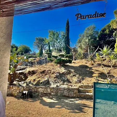Lovely Place With Free Parking Apartment